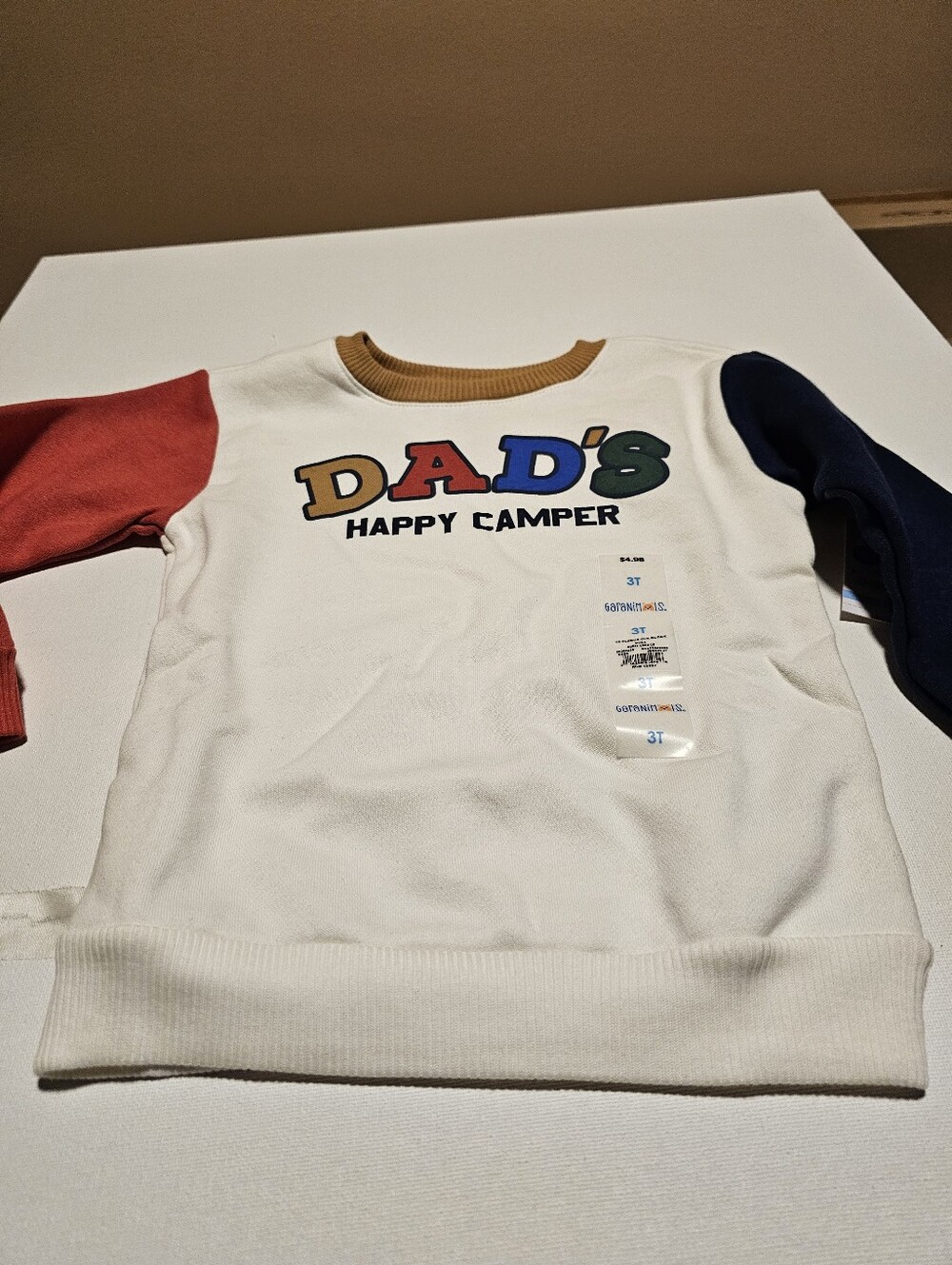Granamails Kids' 'Dad's Happy Camper' Colorblock Crewneck Sweatshirt - Multi 3T